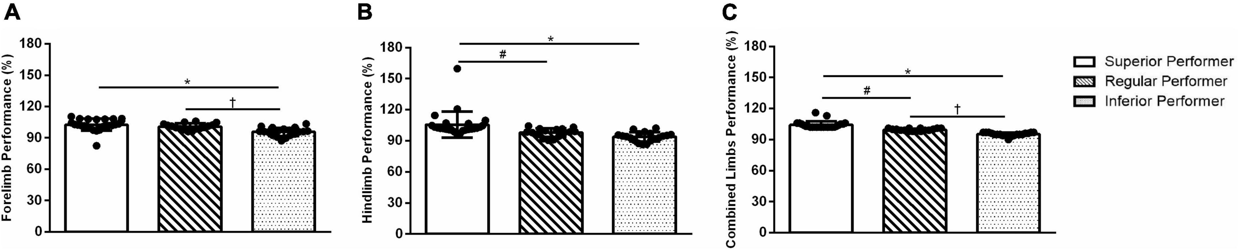 Can anxiety-like behavior and spatial memory predict the extremes of skilled walking performance in mice? An exploratory, preliminary study